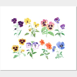 Colorful pansy garden watercolor Posters and Art